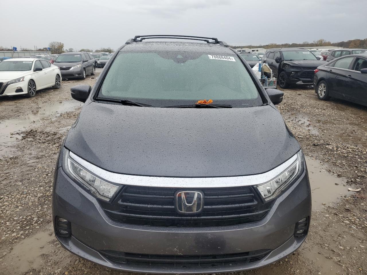 2024 Honda Odyssey - Image 5