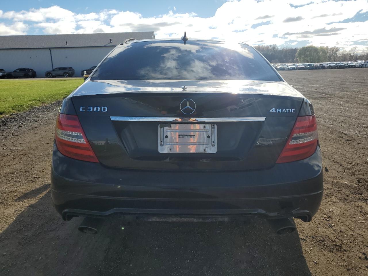 2012 Mercedes-Benz C 300 4Matic VIN: WDDGF8BB3CR199142 Lot: 80578264