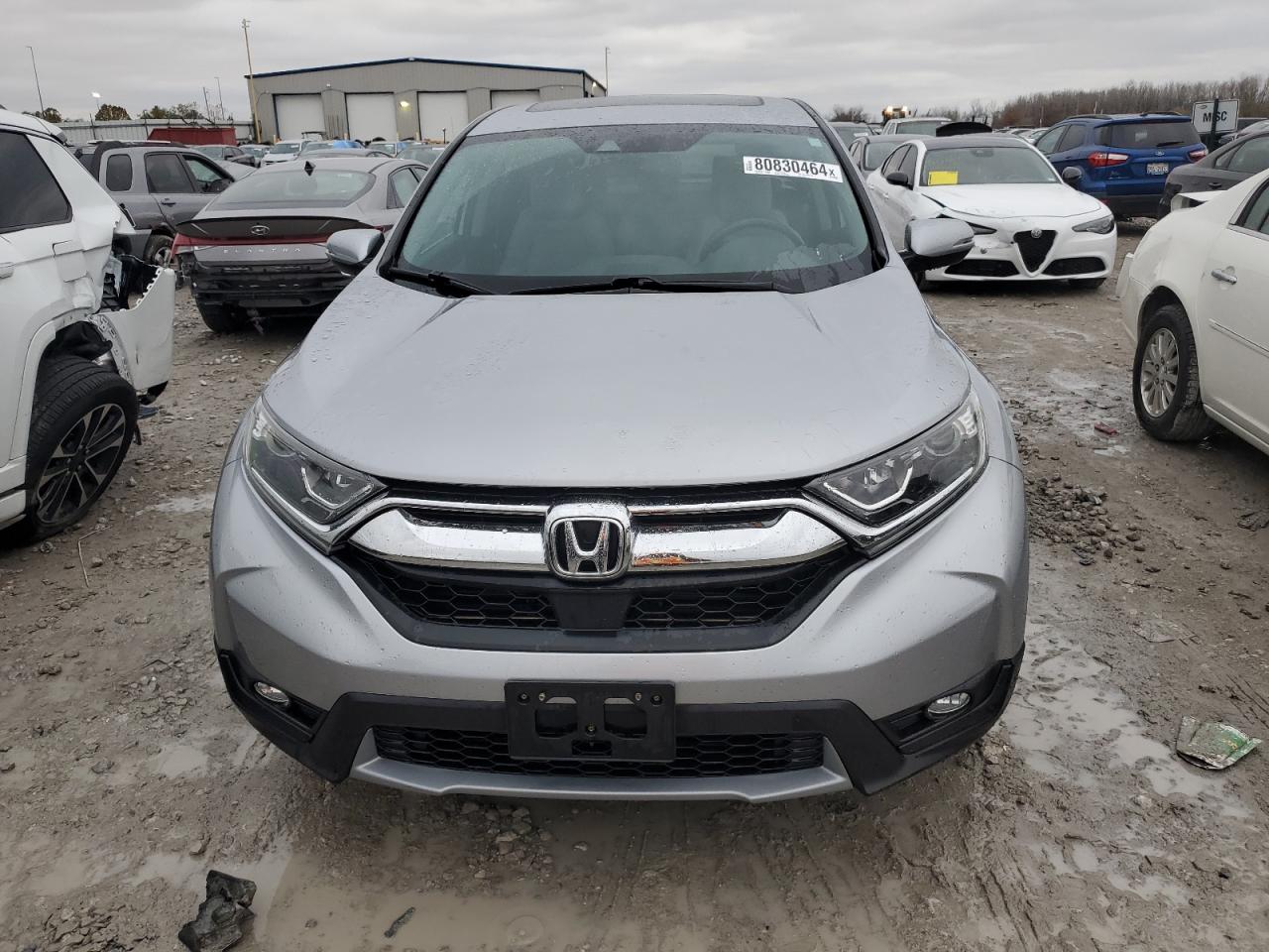 2019 Honda CR-V - Image 5