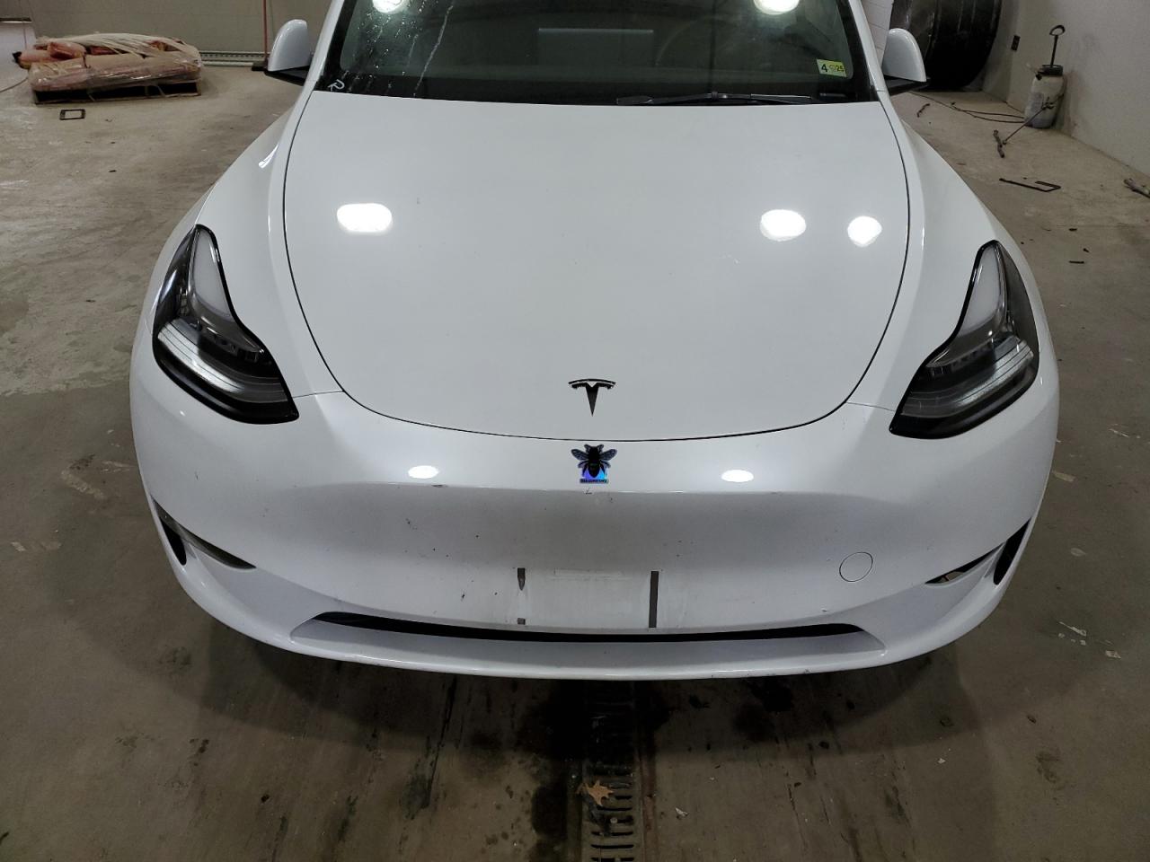 2023 Tesla Model Y VIN: 7SAYGDEEXPA092921 Lot: 81389014