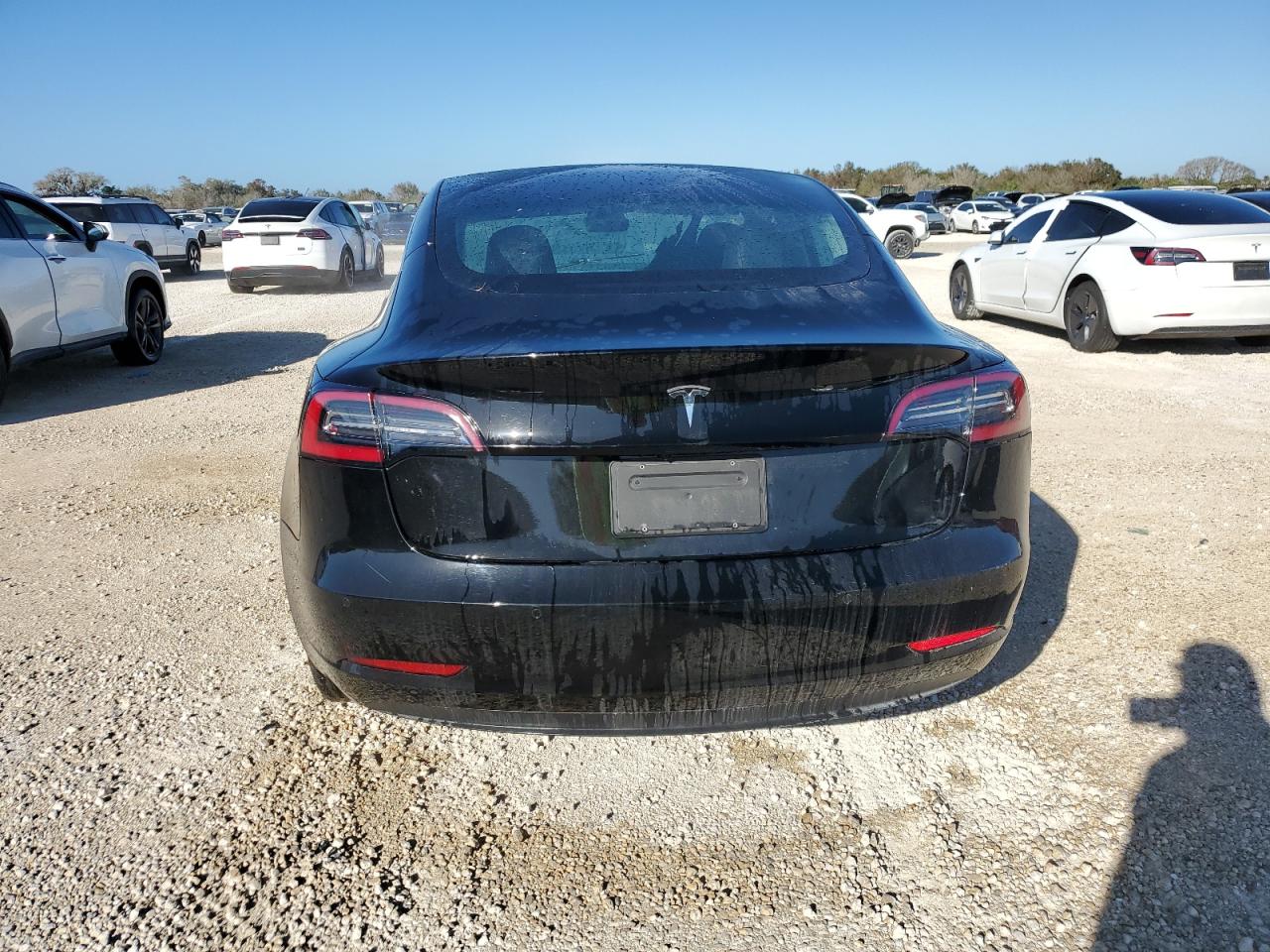 2019 Tesla Model 3 VIN: 5YJ3E1EA3KF300335 Lot: 74123274