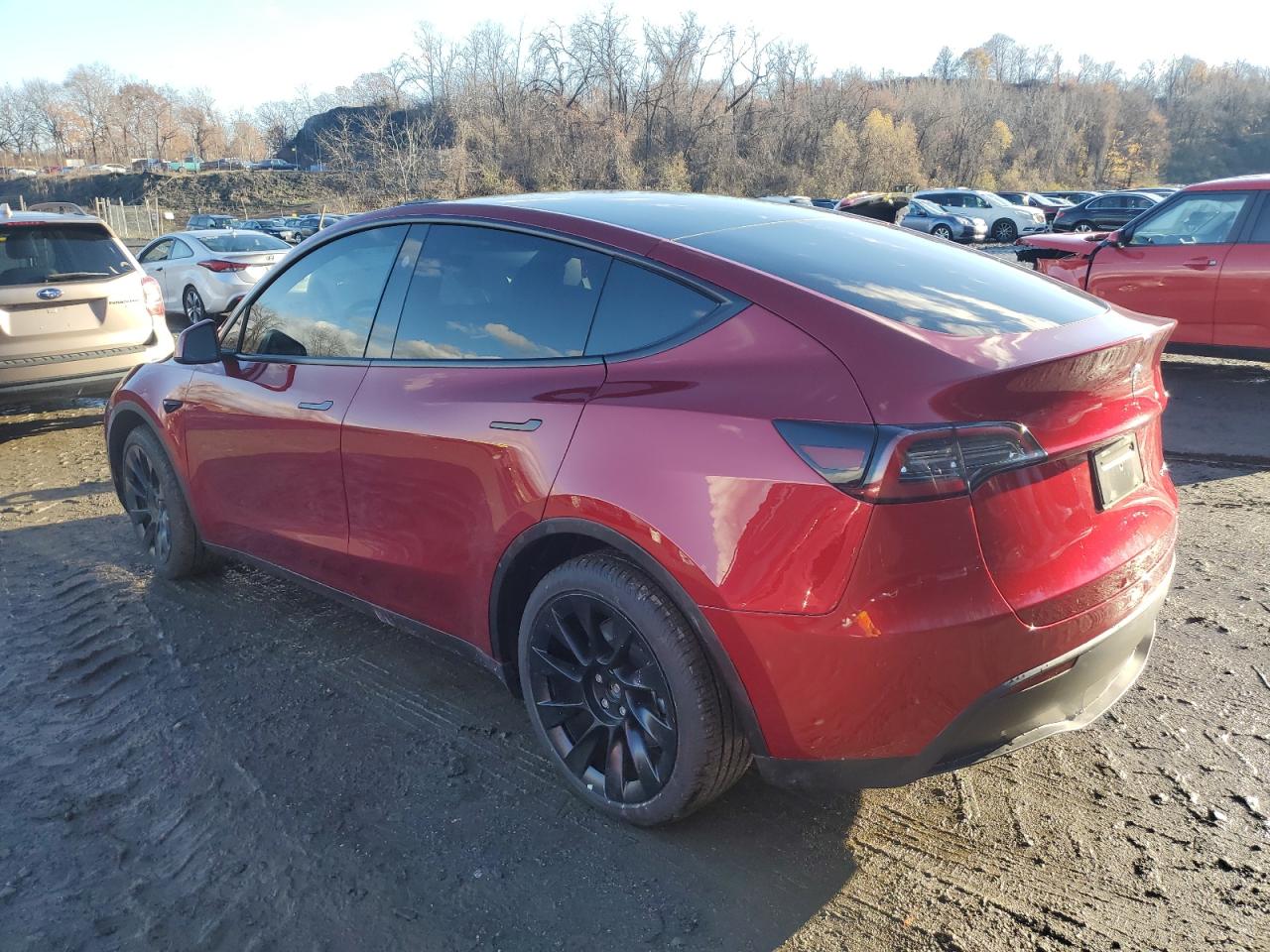 VIN 7SAYGDEE1RA230994 2024 TESLA MODEL Y no.2