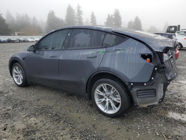  TESLA MODEL Y 2023 Серый