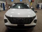 2023 Hyundai Tucson Limited на продаже в Blaine, MN - All Over