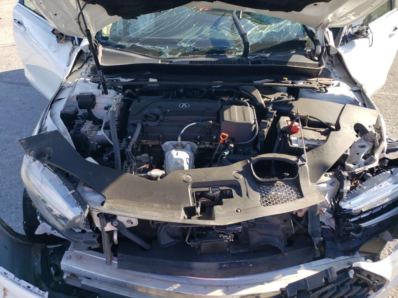 2018 Acura Tlx Tech VIN: 19UUB1F55JA001100 Lot: 81834124