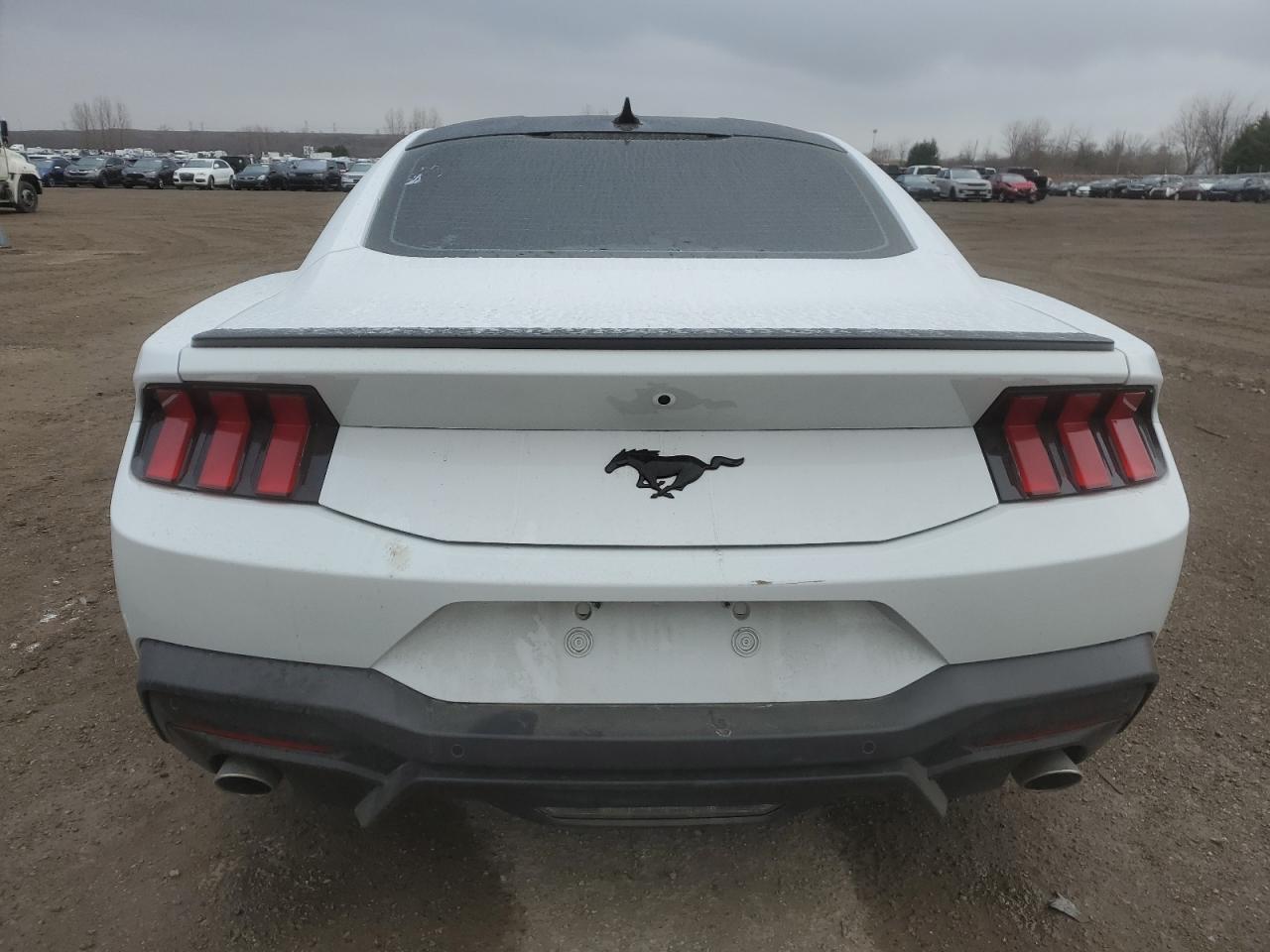 2024 Ford Mustang VIN: 1FA6P8TH0R5104791 Lot: 79716904