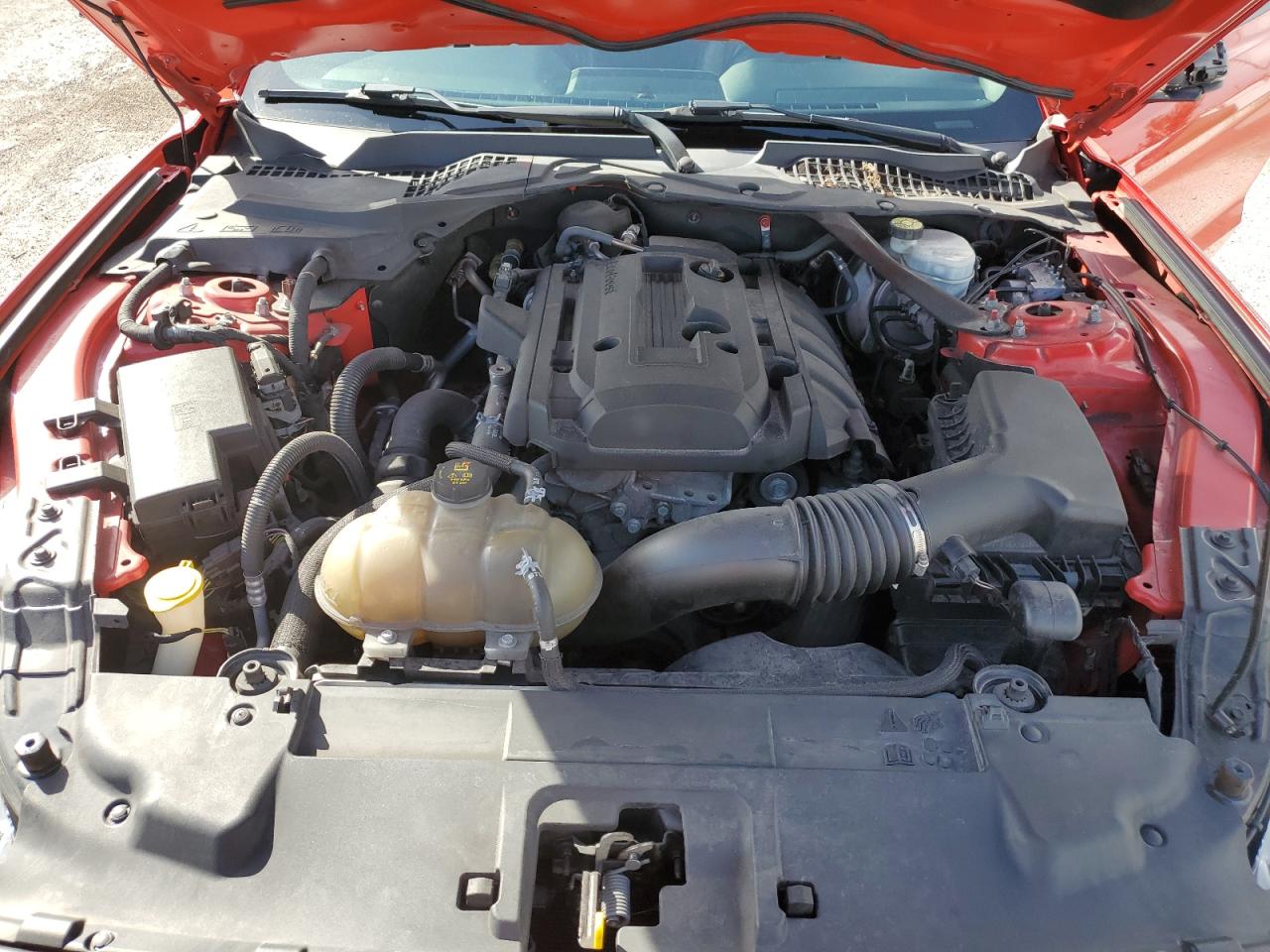 2019 Ford Mustang - Image 12