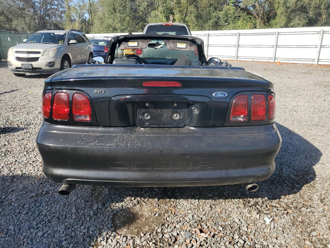 1998 Ford Mustang Cobra VIN: 1FAFP46V3WF178030 Lot: 78933184