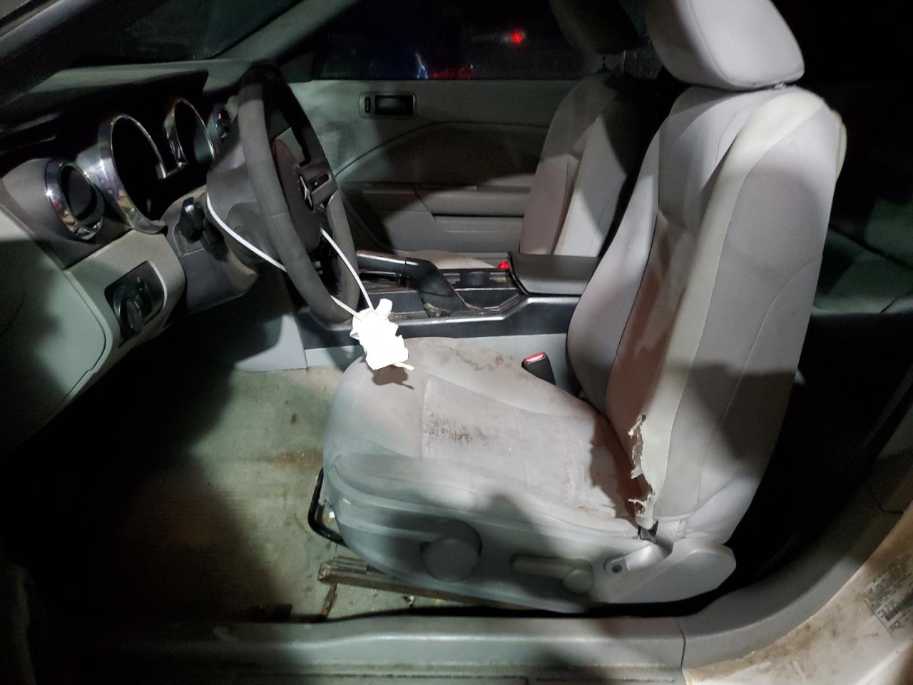 2006 Ford Mustang VIN: 1ZVFT84N565264216 Lot: 81636564