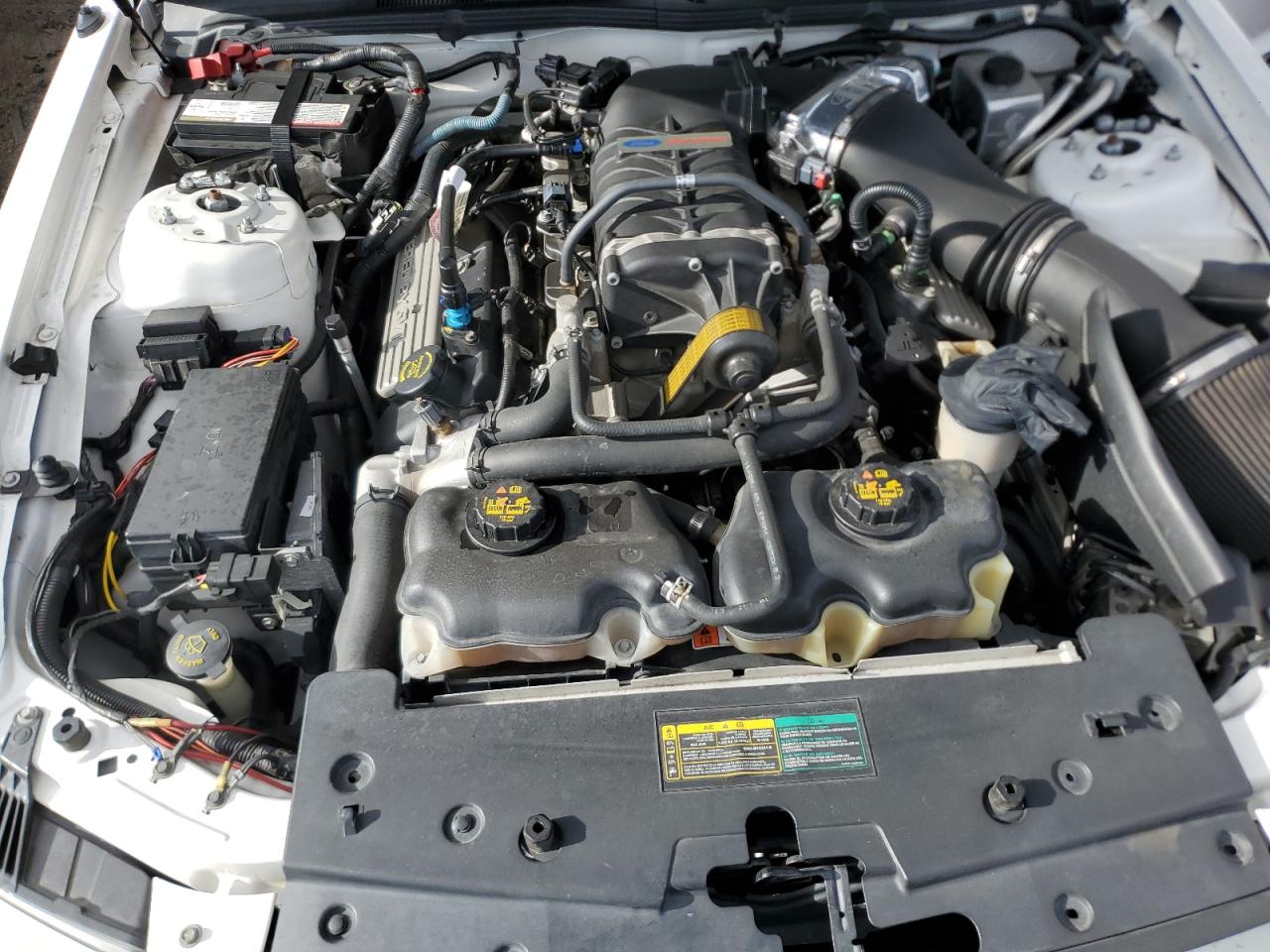 2009 Ford Mustang Shelby Gt500 VIN: 1ZVHT88S295130535 Lot: 79906214