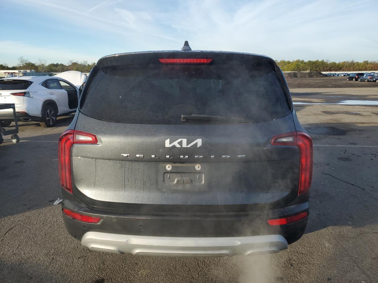 2022 Kia Telluride Lx VIN: 5XYP24HC0NG270460 Lot: 82032924