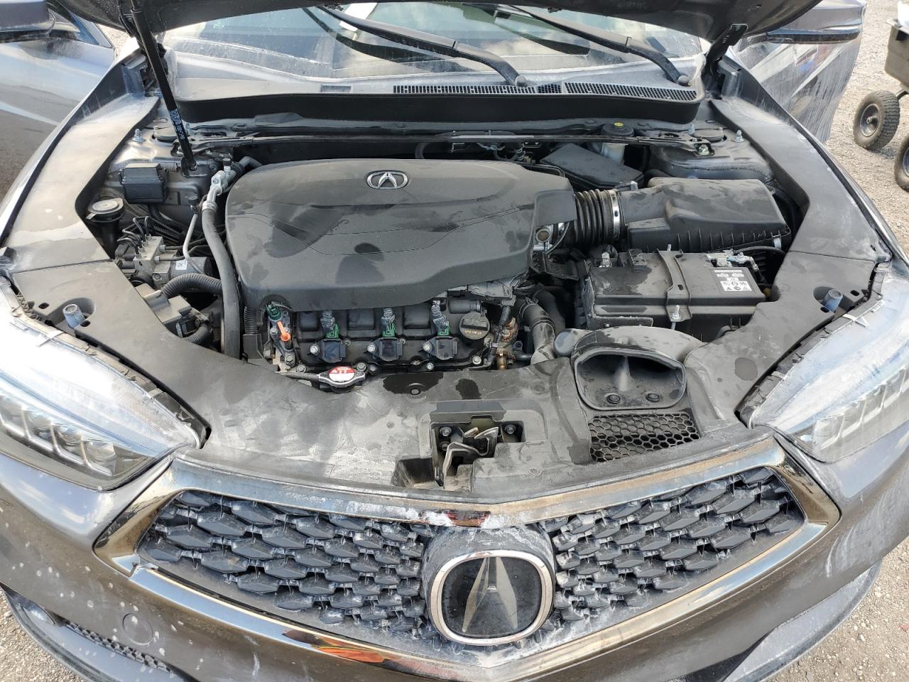 2020 Acura Tlx Technology VIN: 19UUB3F69LA001401 Lot: 80886844