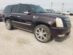 2009 Cadillac Escalade Luxury продається в Andrews, TX - Water/Flood