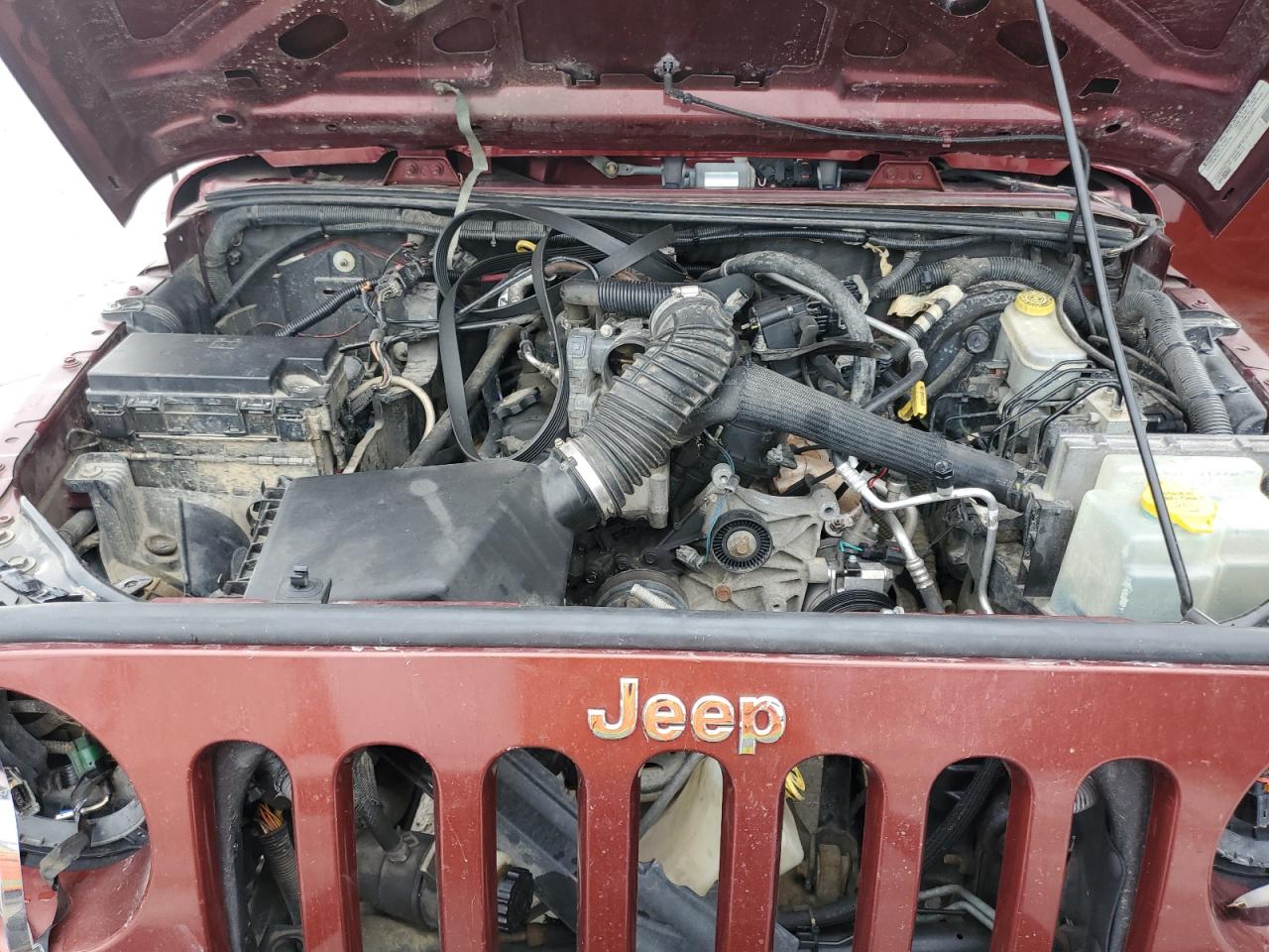 2007 Jeep Wrangler Sahara VIN: 1J8GA59137L118498 Lot: 79565054