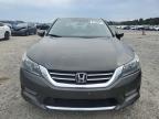 2013 Honda Accord Sport продається в Lumberton, NC - Hail