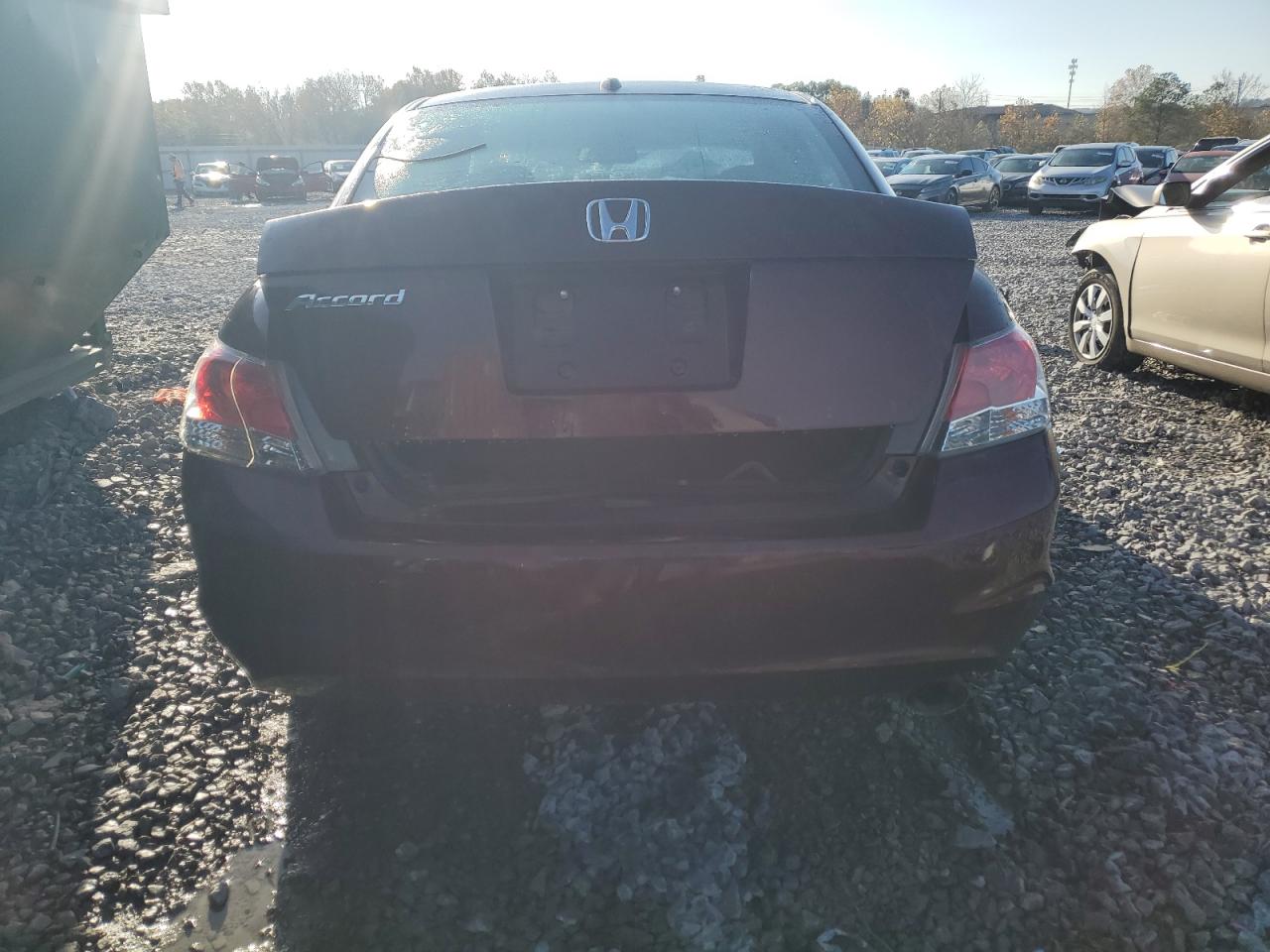 2010 Honda Accord Exl VIN: 1HGCP2F83AA021858 Lot: 81786104