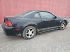 2004 Ford Mustang  продається в London, ON - Minor Dent/Scratches