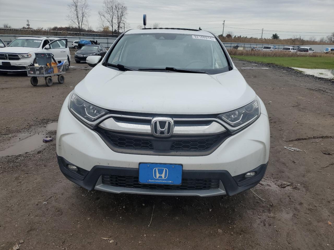 2019 Honda CR-V - Image 5