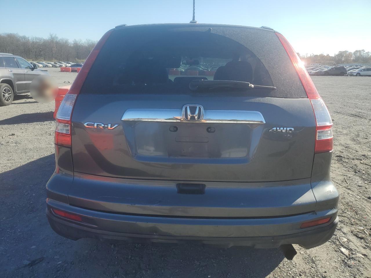 2010 Honda Cr-V Exl VIN: 5J6RE4H78AL026776 Lot: 78903004