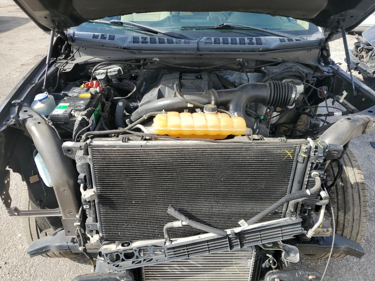 1FTEW1EP0GFA95683 FORD F-150 2016