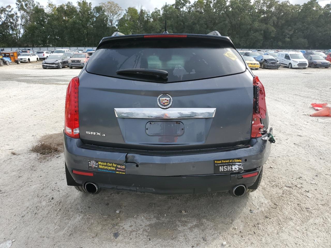 2010 Cadillac Srx Luxury Collection VIN: 3GYFNDEYXAS516579 Lot: 79314994