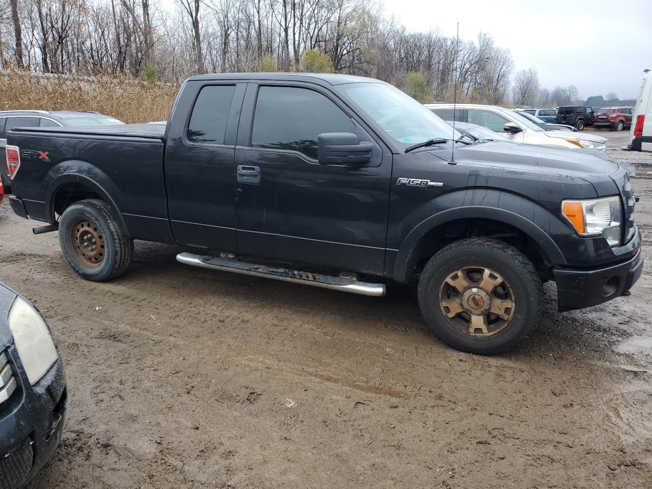 2010 Ford F-150 - Image 4