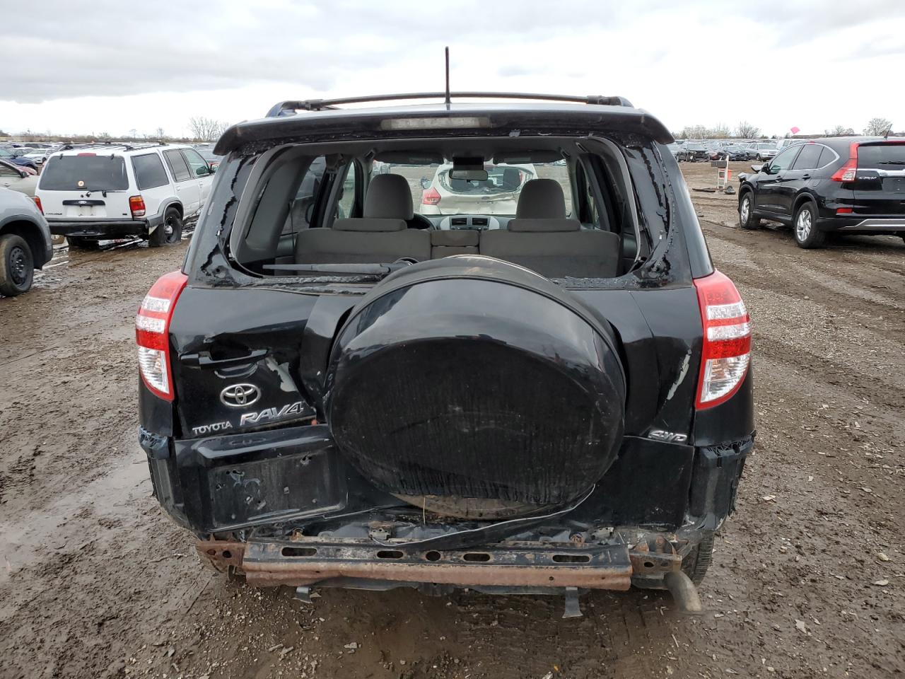 2009 Toyota Rav4 VIN: JTMBF33V995013118 Lot: 79406164