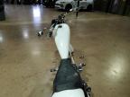 2016 BIG DOG CHOPPER a la Venta en Copart TX - CRASHEDTOYS DALLAS
