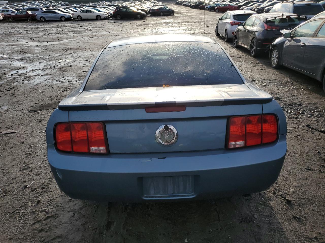 2007 Ford Mustang VIN: 1ZVFT80N975210229 Lot: 80063664