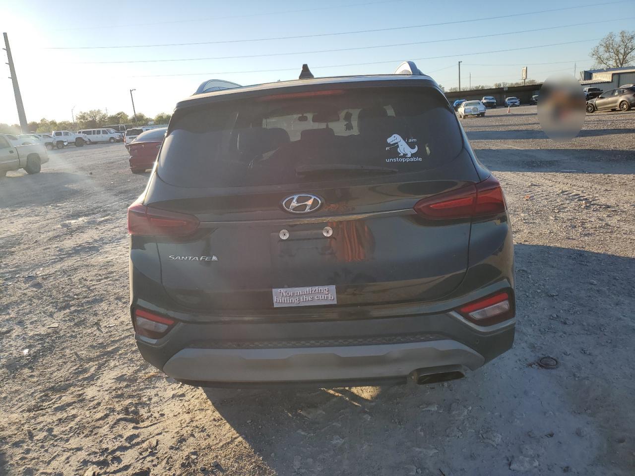 2019 Hyundai Santa Fe Limited VIN: 5NMS53AD0KH119943 Lot: 80561244