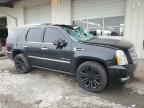 2013 Cadillac Escalade Platinum იყიდება Dyer-ში, IN - Top/Roof