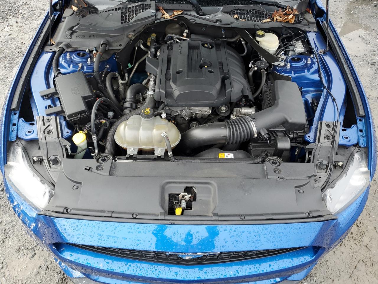 1FATP8UH3H5212306 FORD ALL Models 2017