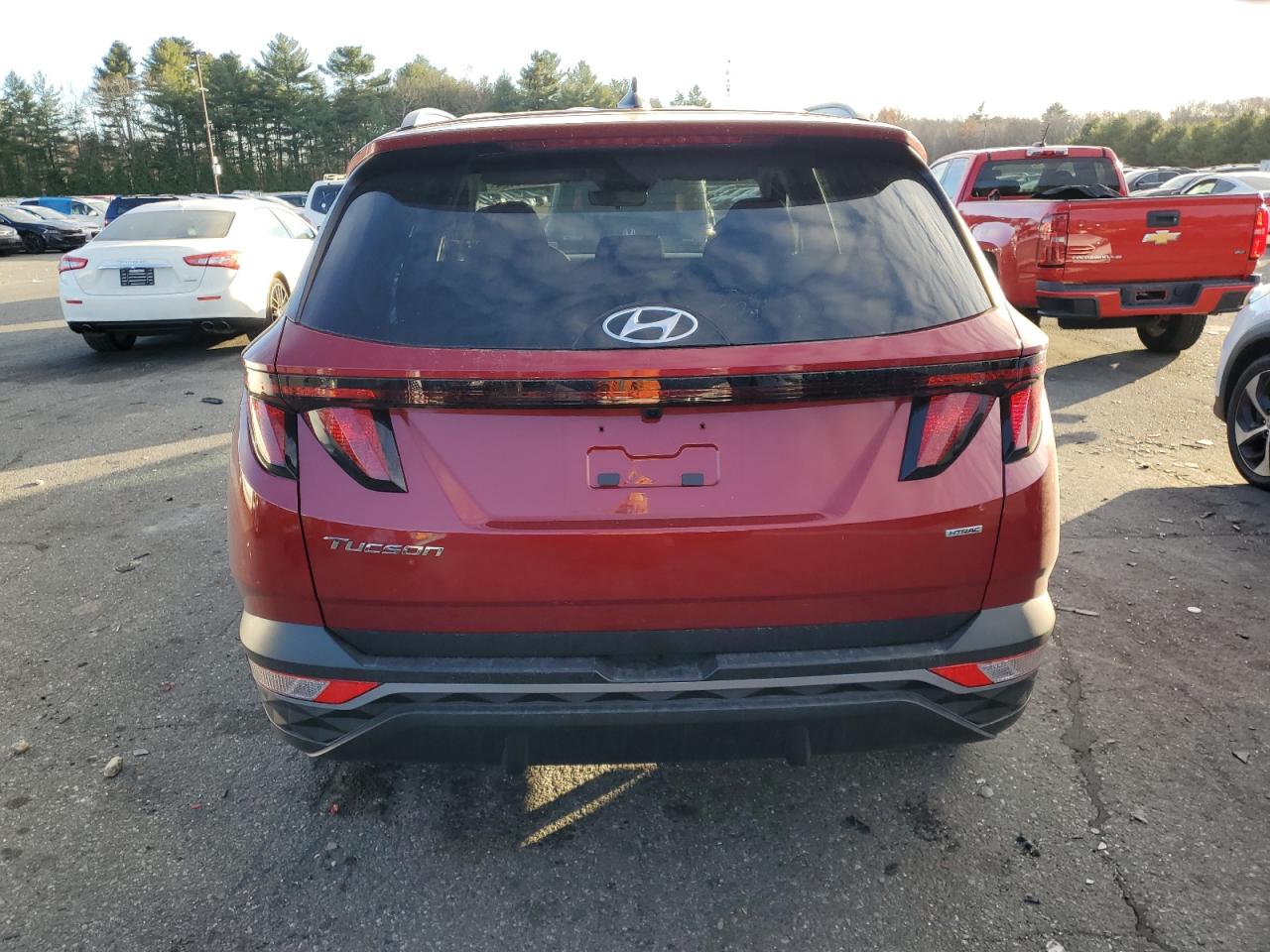 2024 Hyundai Tucson - Image 6