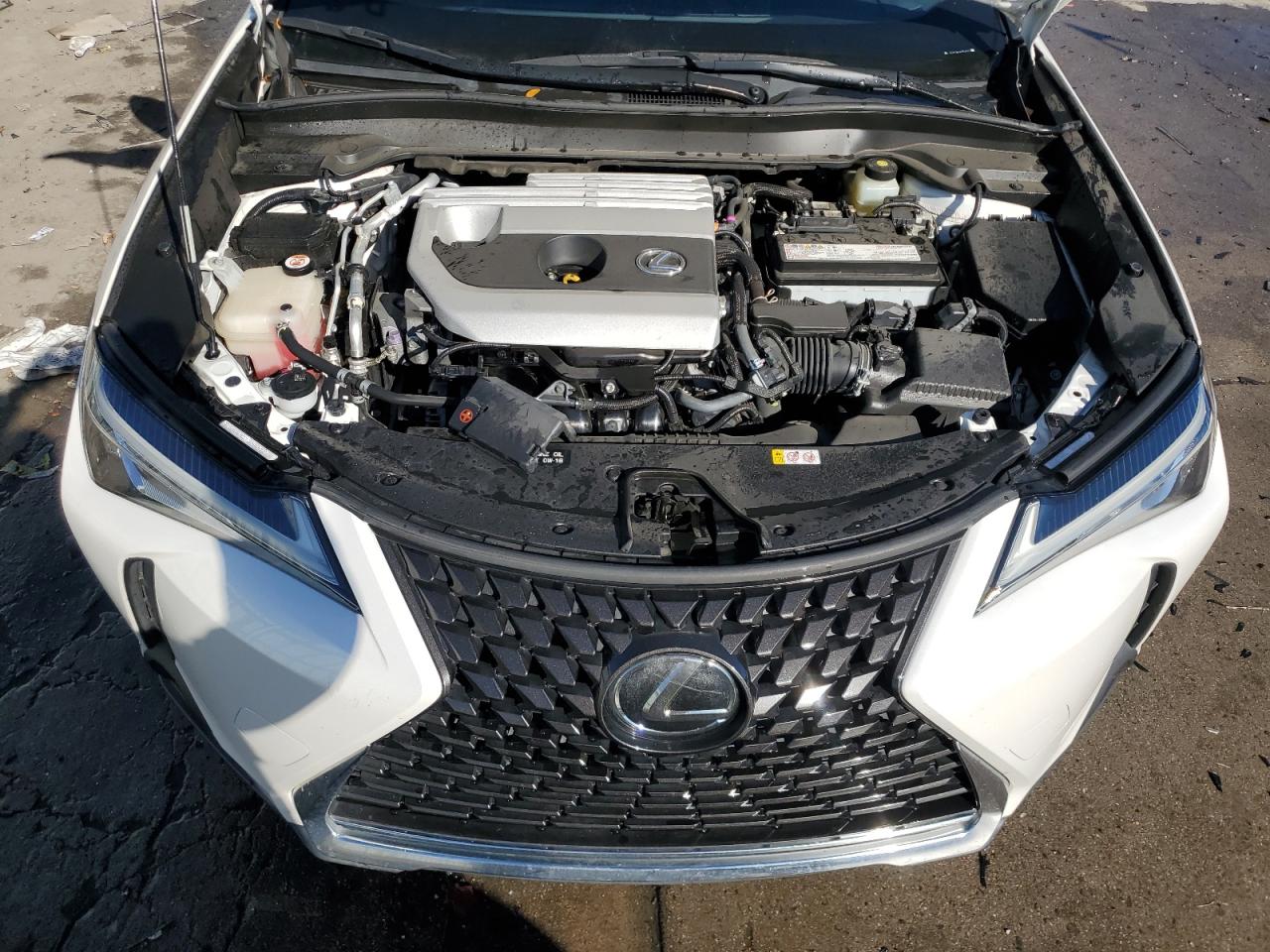 2019 Lexus UX - Image 11