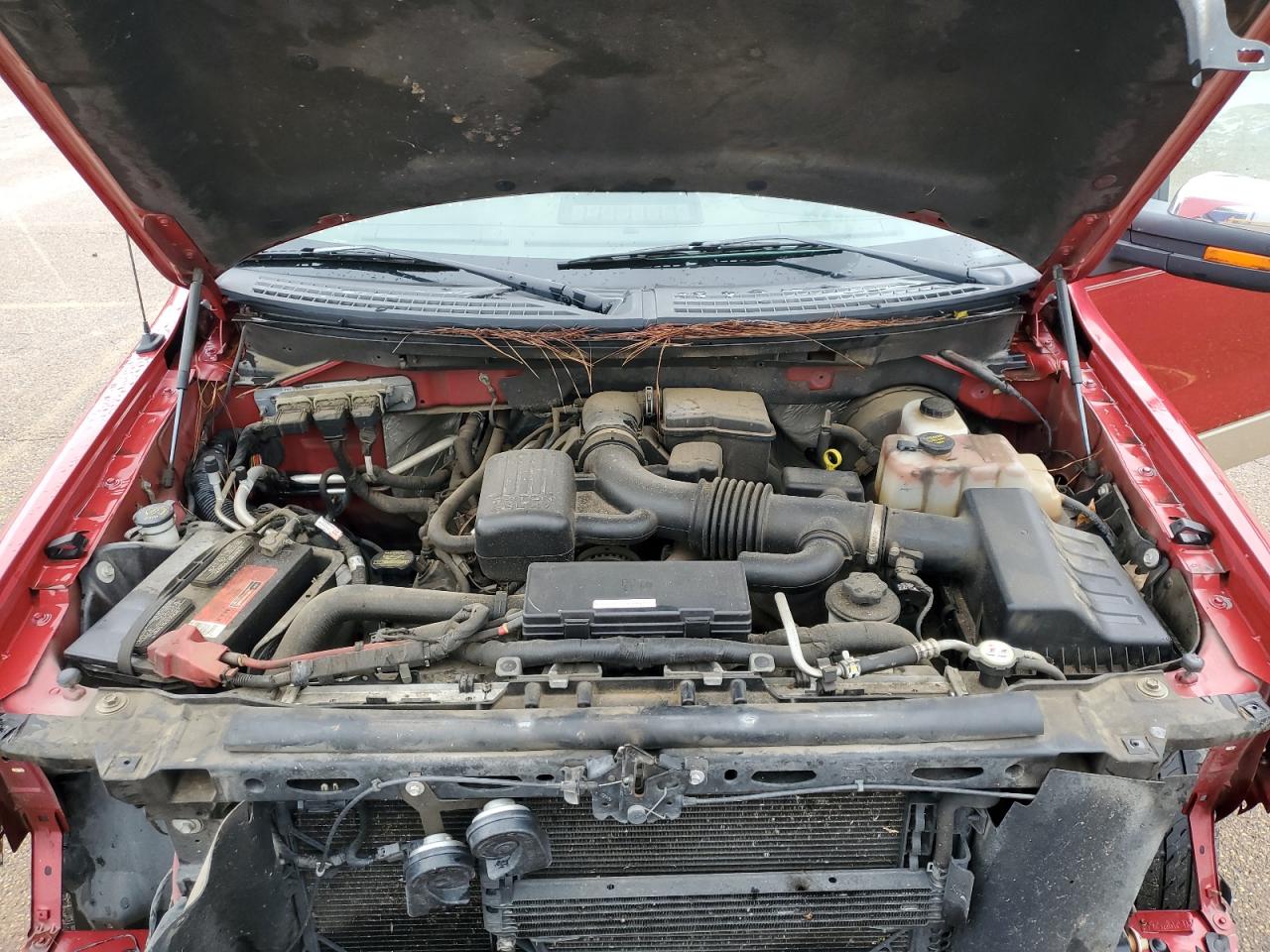 2010 Ford F-150 - Image 11