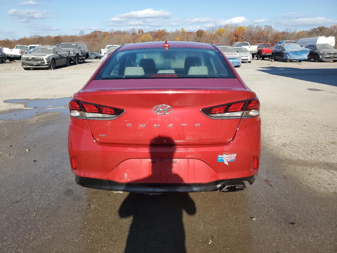 2019 Hyundai Sonata Se VIN: 5NPE24AF0KH744388 Lot: 78886504