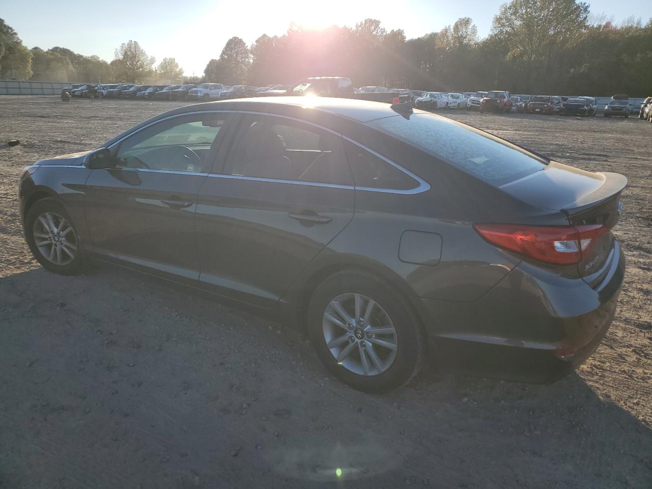 2016 Hyundai Sonata Se VIN: 5NPE24AF9GH301986 Lot: 81141734