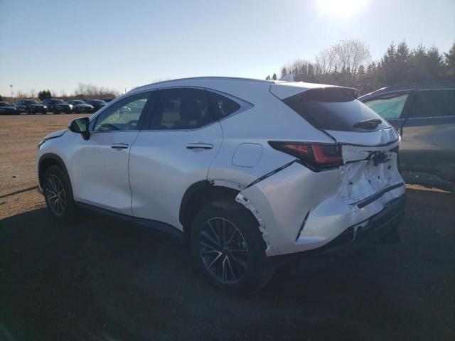2023 LEXUS NX 250