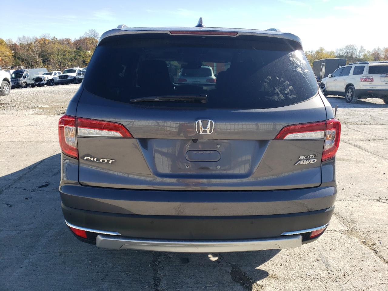 2021 Honda Pilot Elite VIN: 5FNYF6H01MB039681 Lot: 78746644