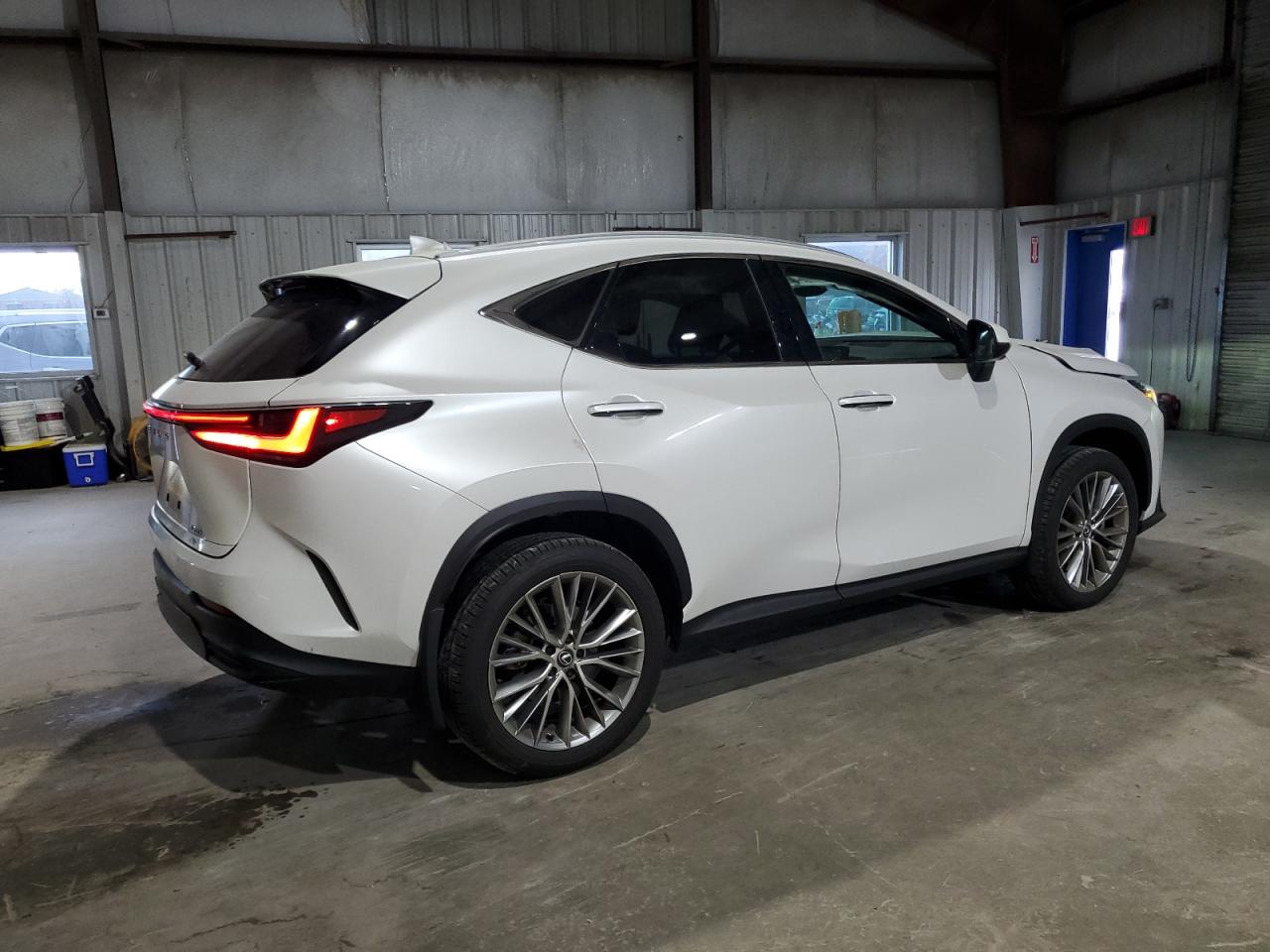 2024 Lexus NX - Image 3