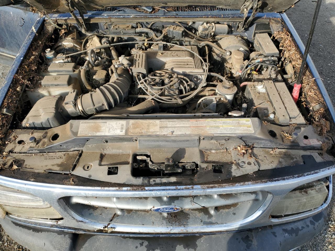 1999 Ford Explorer VIN: 1FMZU35P4XZA14004 Lot: 78307224