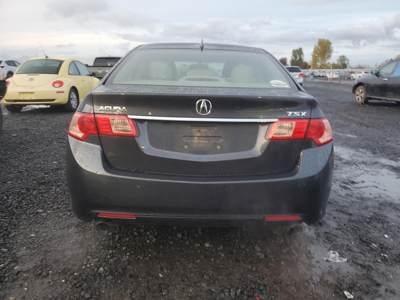 2011 Acura Tsx VIN: JH4CU2F66BC005583 Lot: 78528224