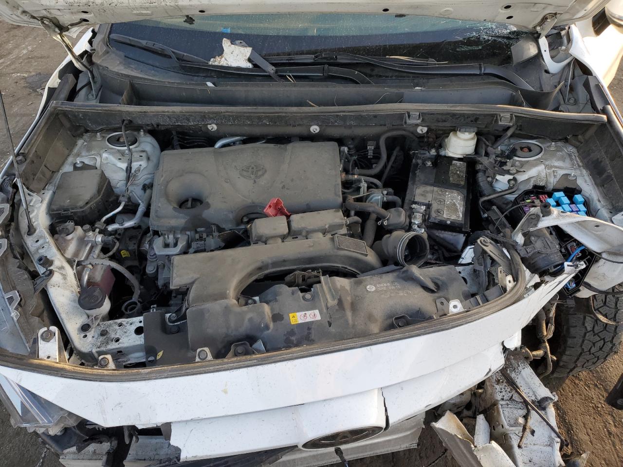 2021 Toyota Rav4 Xle VIN: 2T3P1RFV3MC147452 Lot: 56600035