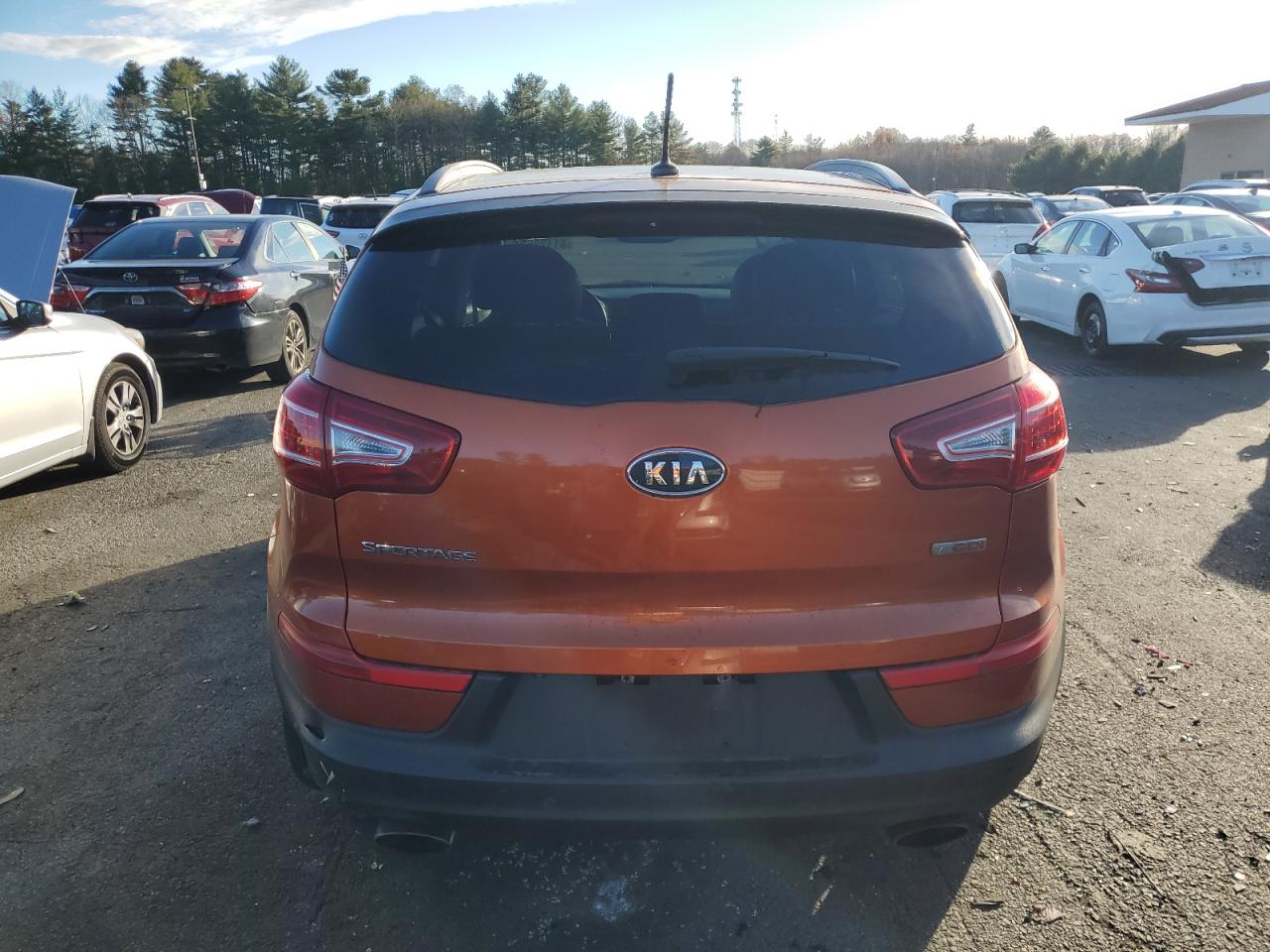 2011 Kia Sportage Ex VIN: KNDPC3A69B7149205 Lot: 81122624