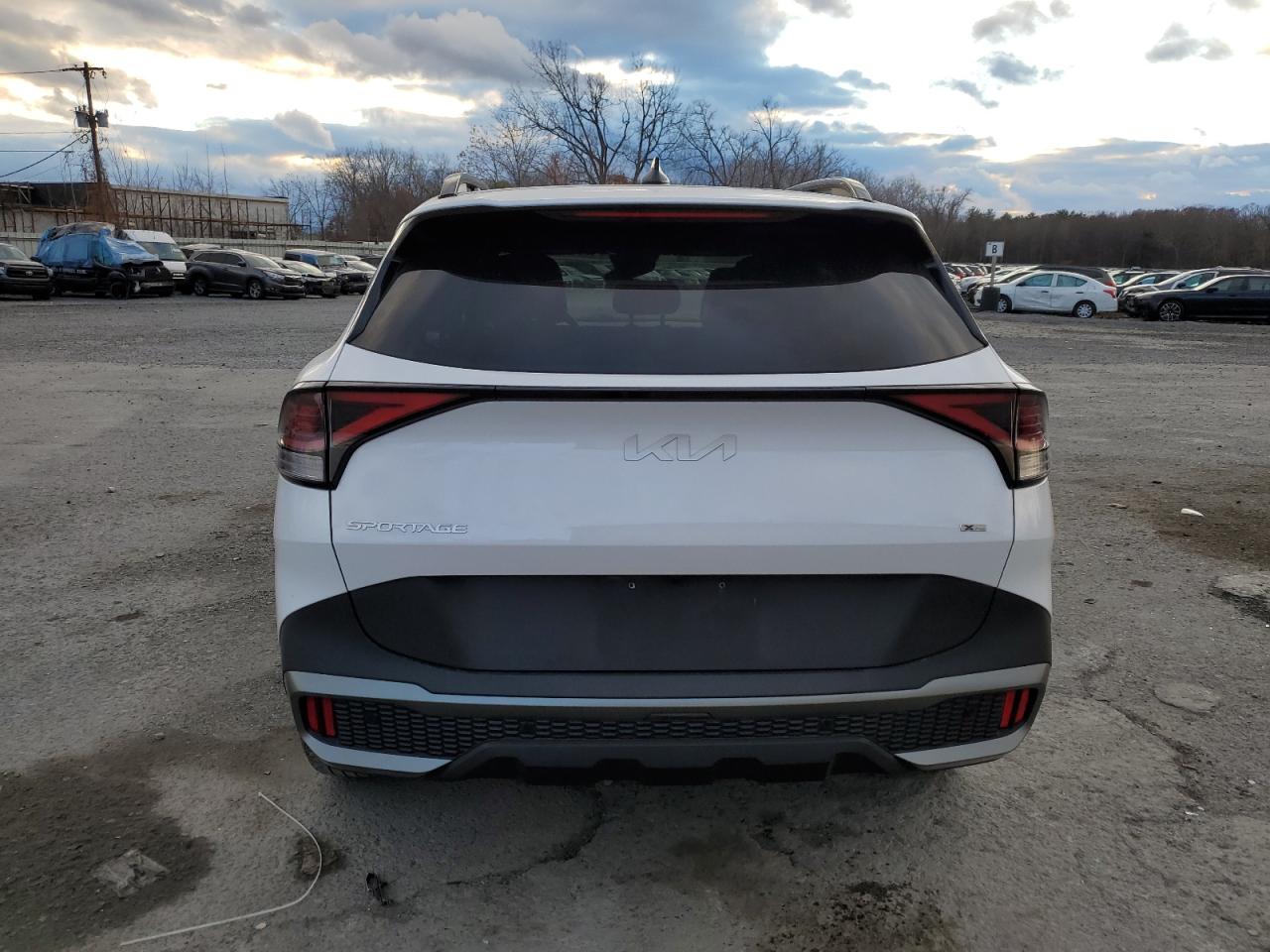 2023 Kia Sportage X Line VIN: 5XYK6CAF8PG136649 Lot: 79717444