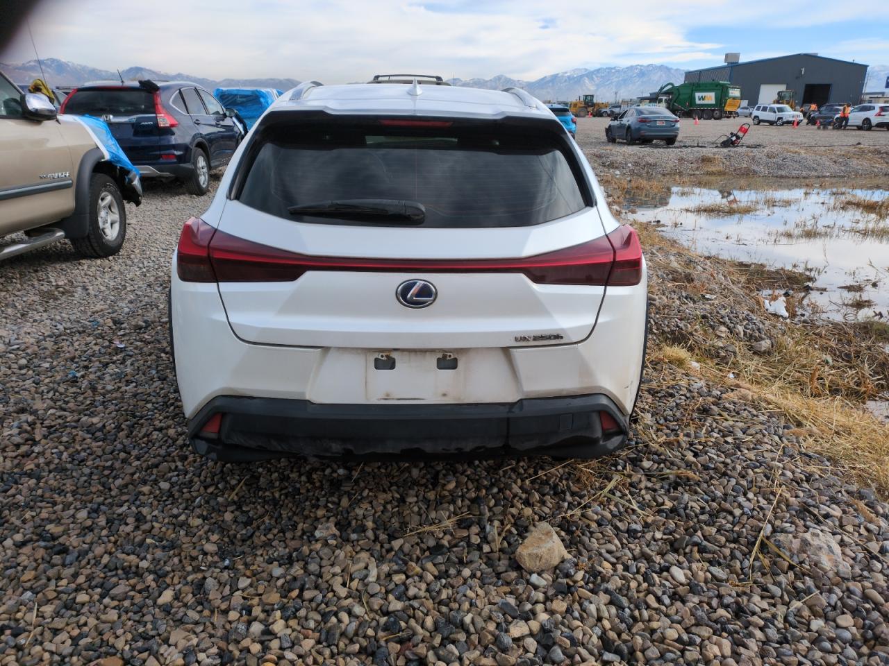 2019 Lexus Ux 250H VIN: JTHU9JBH7K2013219 Lot: 80931494