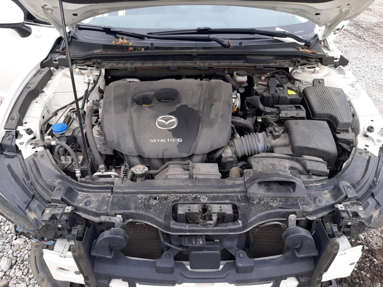 2021 Mazda 6 Touring VIN: JM1GL1VM4M1600575 Lot: 81242394