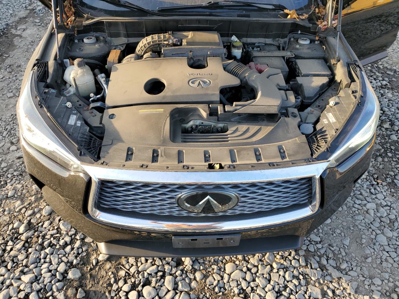 VIN 3PCAJ5M3XKF116782 2019 INFINITI QX50 no.12