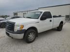 2010 Ford F150  for Sale in Kansas City, KS - Rear End