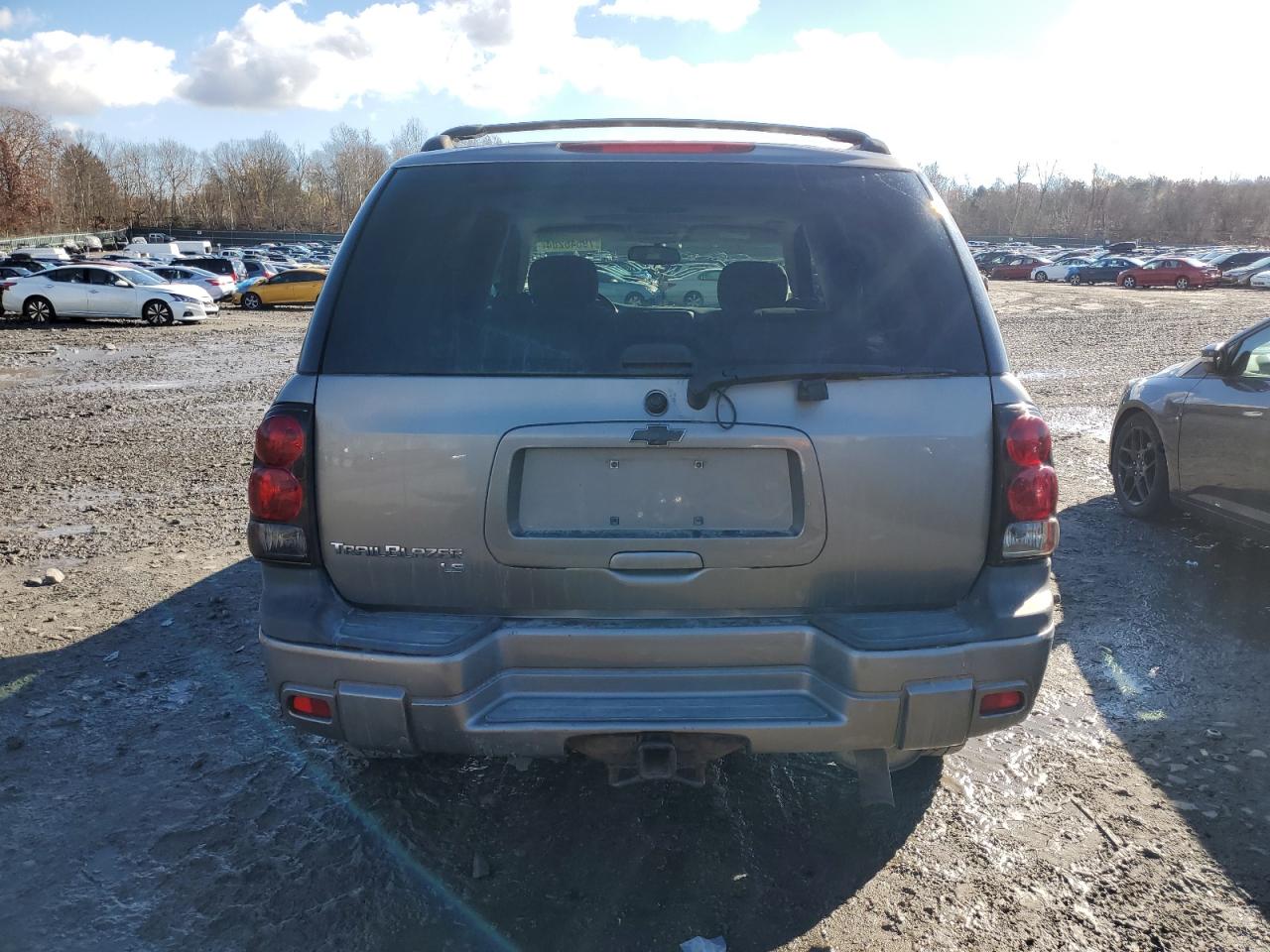 2007 Chevrolet Trailblazer Ls VIN: 1GNDT13S172270694 Lot: 79546284